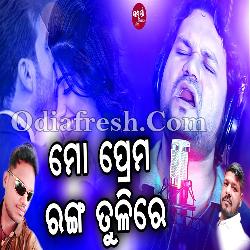 Mo Prema Ranga Tulire - Romantic Song